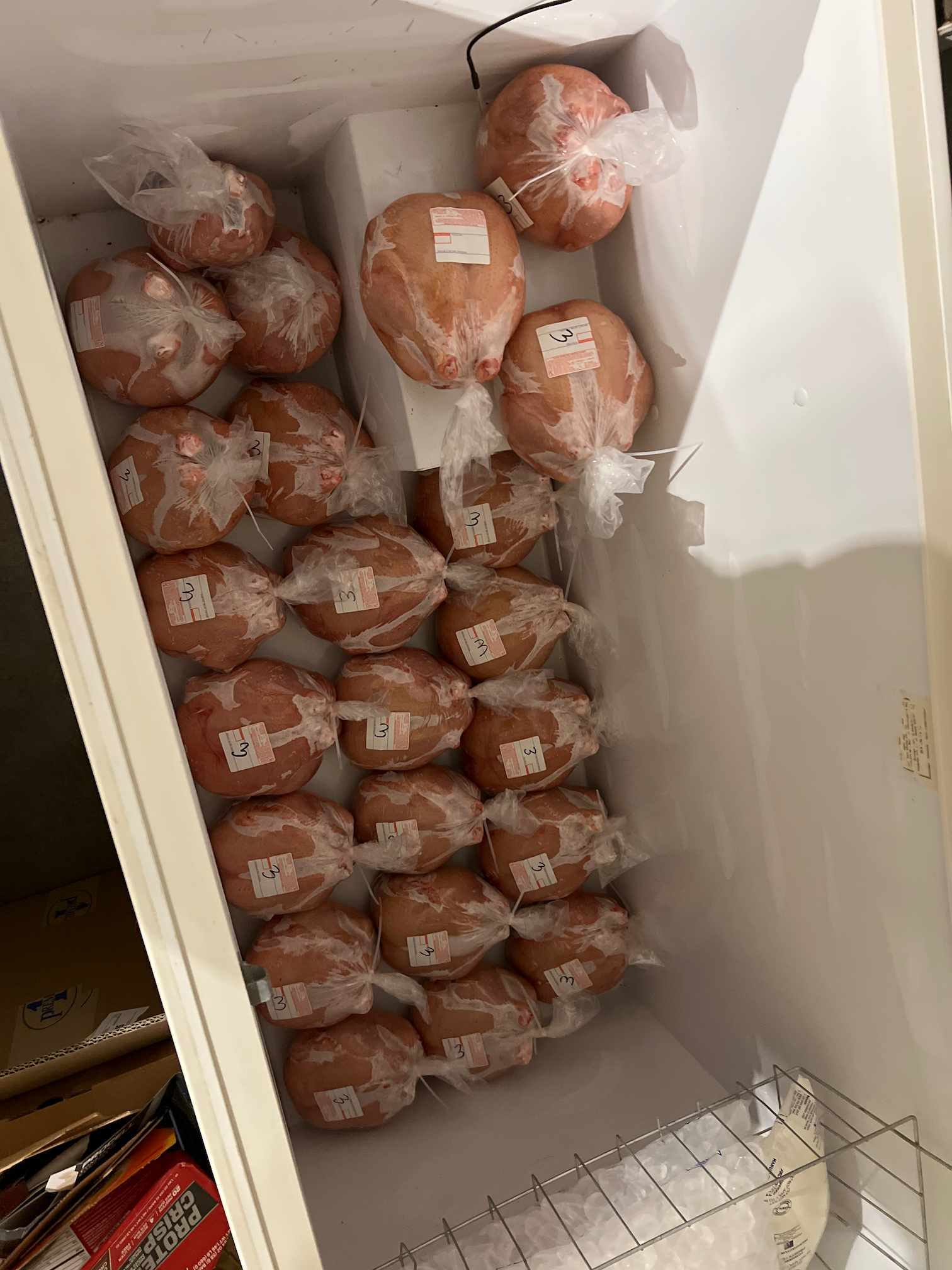 Bagged whole birds in freezer